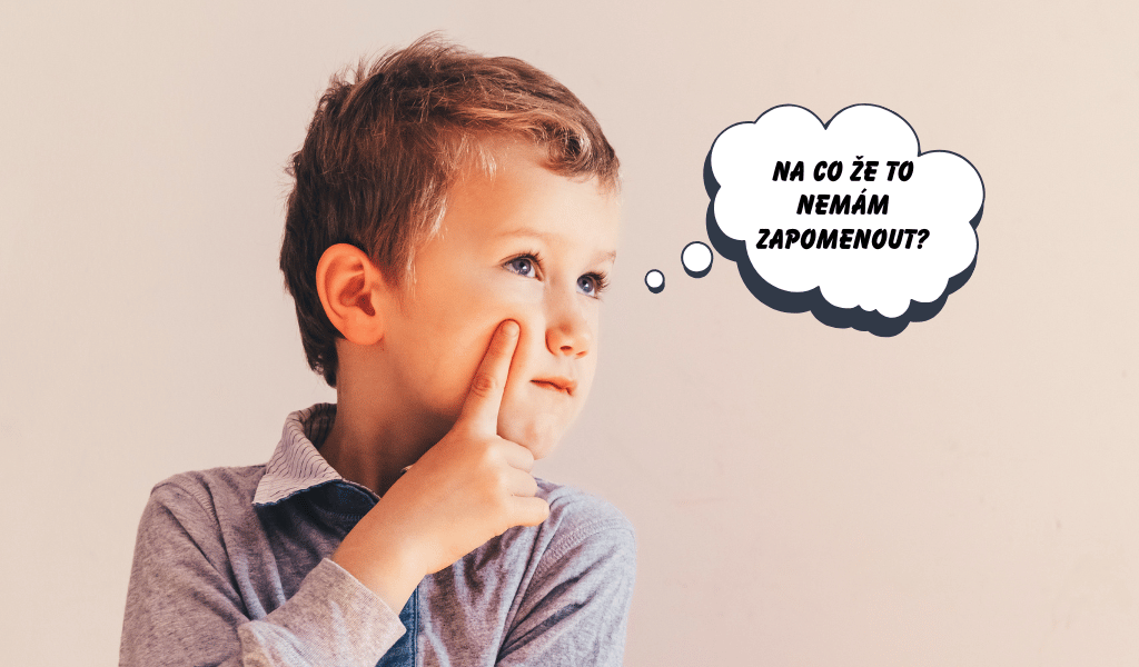 Chlapec si nemůže vzpomenout, co má udělat – dítě bez vizuálního plánu dne